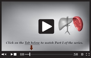 Heal your Spleen
