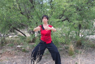 Qigong Pose